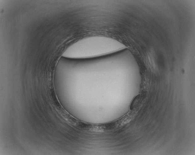 X0000083970656200702160729