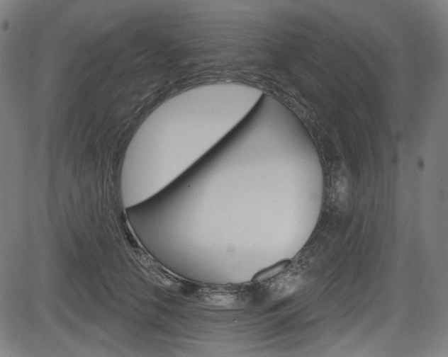 X0000083970658200702160729