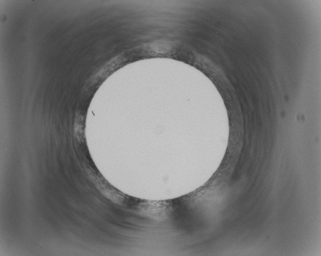 X0000083970672200702160729
