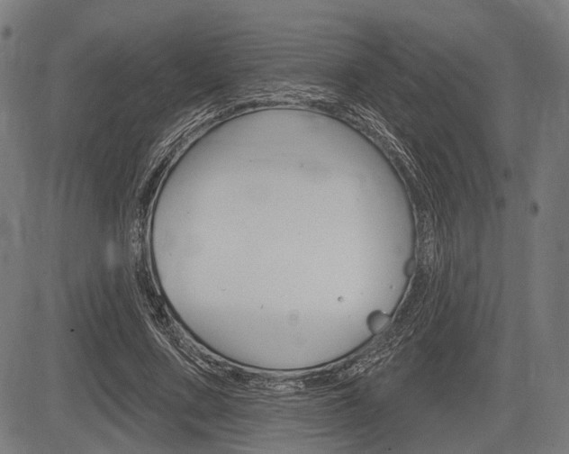 X0000083970683200702160728