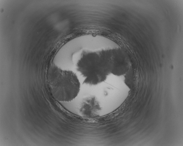 X0000083970695200702160728