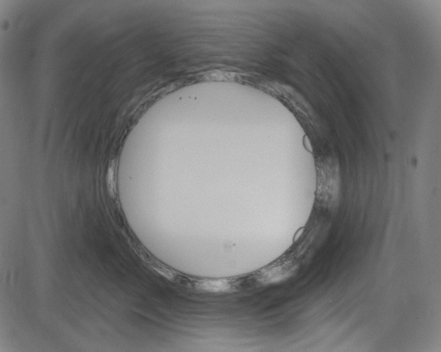 X0000083970717200702160728