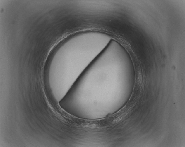 X0000083970730200702160727