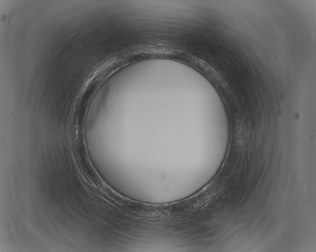 X0000083970731200702160727