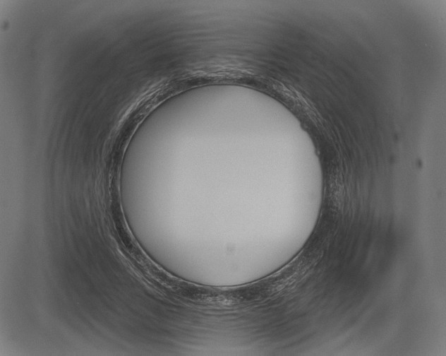 X0000083970735200702160727