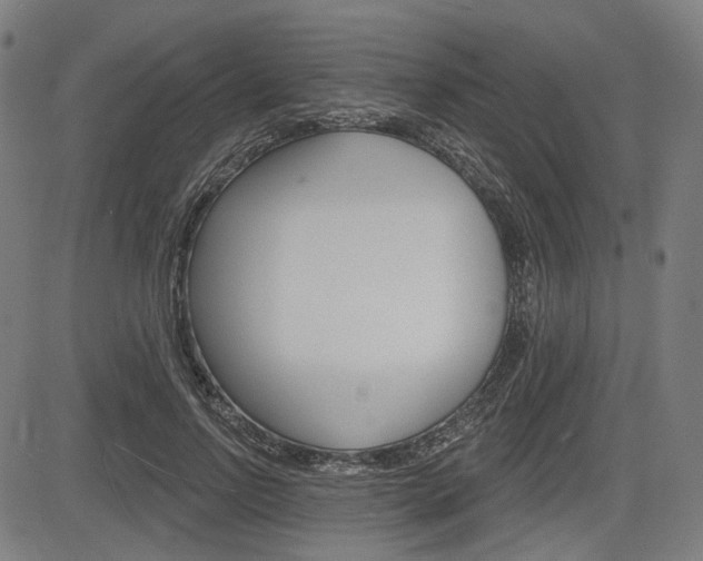 X0000083970742200702160727