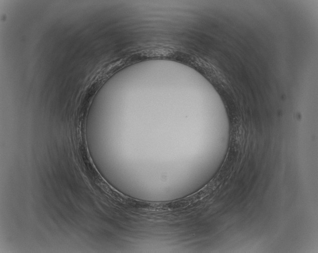 X0000083970743200702160727