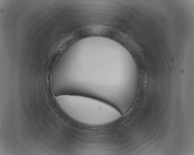 X0000083970746200702160727