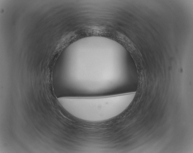 X0000083970760200702160727