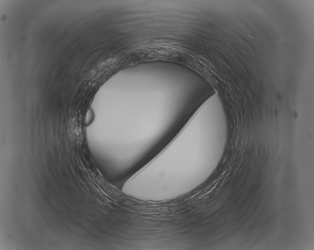 X0000083970771200702160727