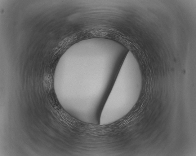 X0000083970772200702160727