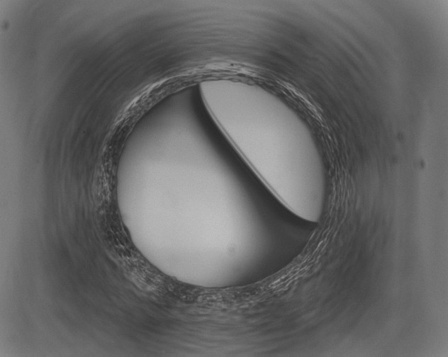 X0000083970776200702160727