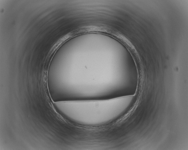 X0000083970793200702160726
