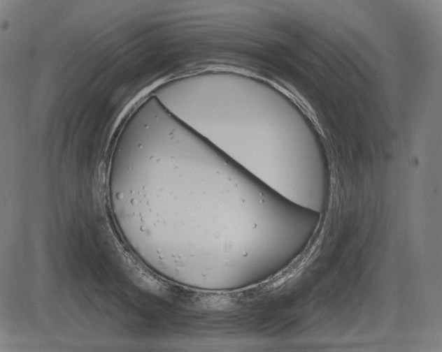 X0000083970798200702160726