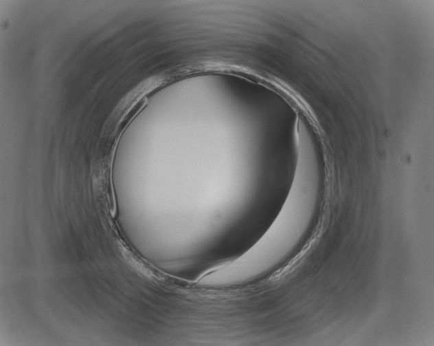 X0000083970801200702160726