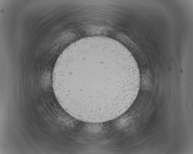 X0000083970820200702160725