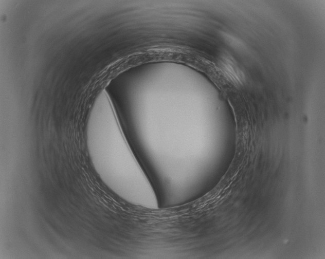 X0000083970821200702160725