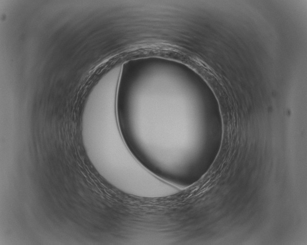 X0000083970822200702160725