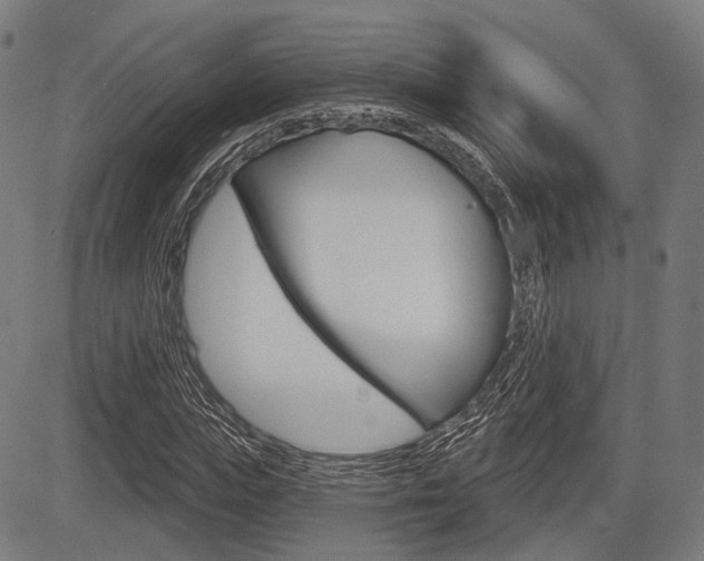 X0000083970823200702160725