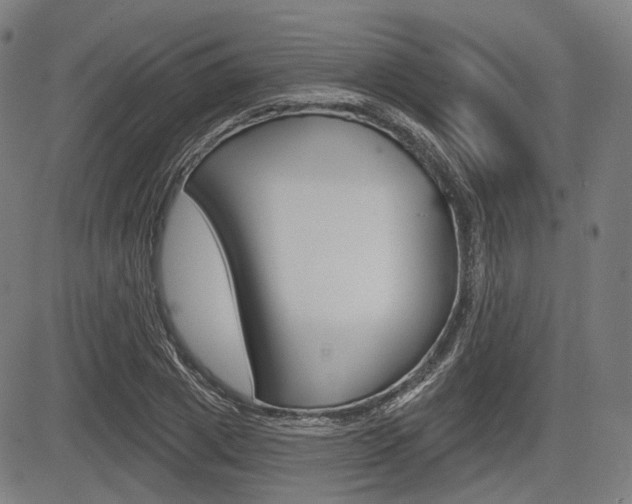 X0000083970833200702160725