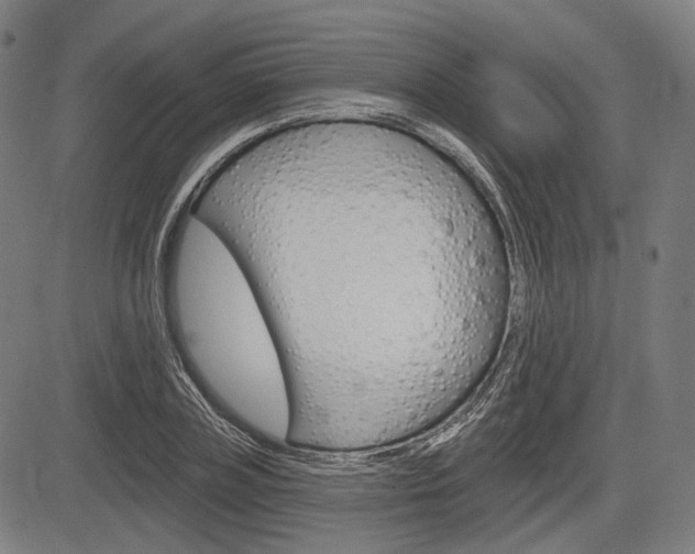X0000083970835200702160725