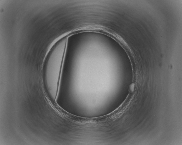 X0000083970838200702160725