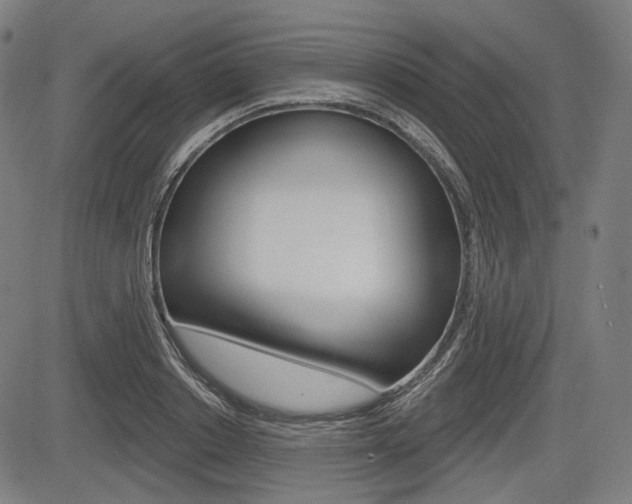 X0000083970842200702160726