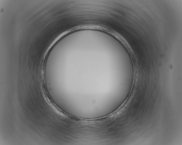 X0000083970852200702160726