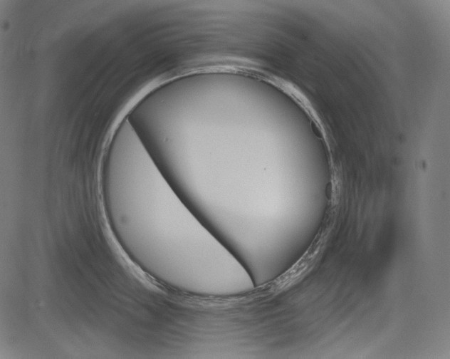 X0000083970859200702160726