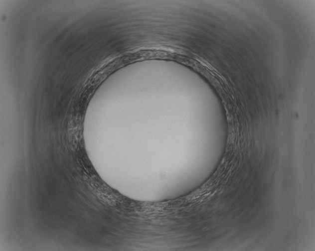 X0000083970870200702160725