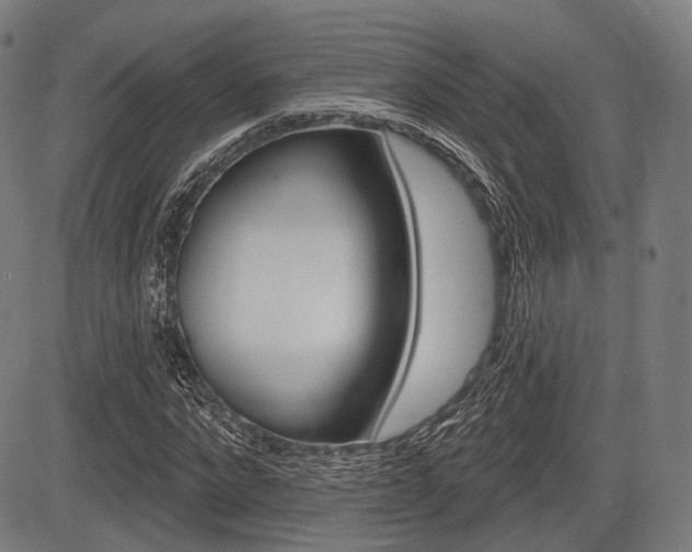 X0000083970872200702160725