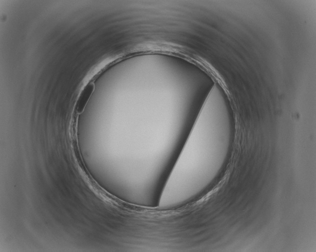 X0000083970893200702160725