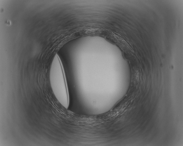 X0000083970914200702160724