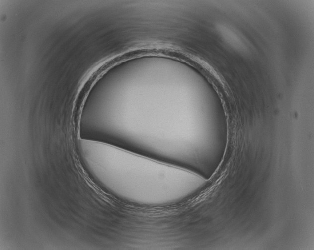 X0000083970927200702160724