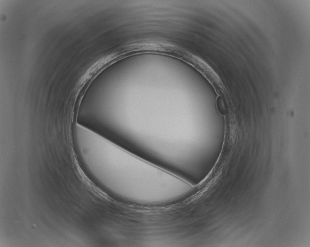 X0000083970938200702160724