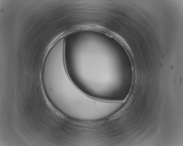 X0000083970946200702160724