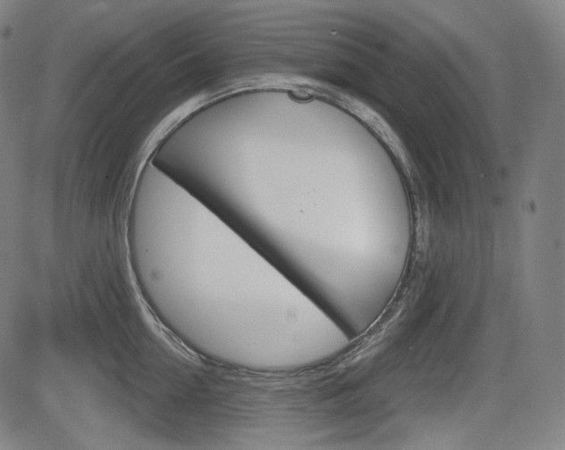 X0000083970954200702160724