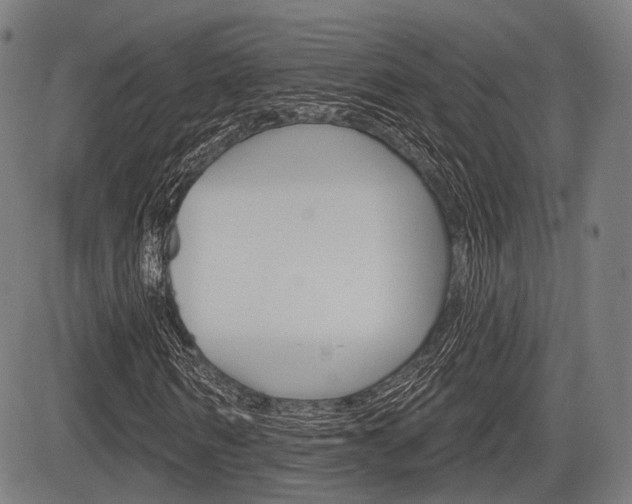 X0000083970962200702160724
