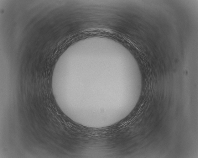 X0000083970965200702160723