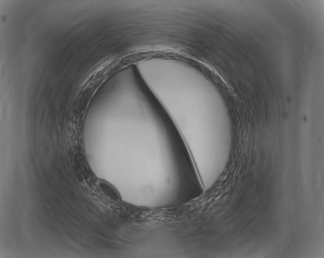 X0000083970967200702160723