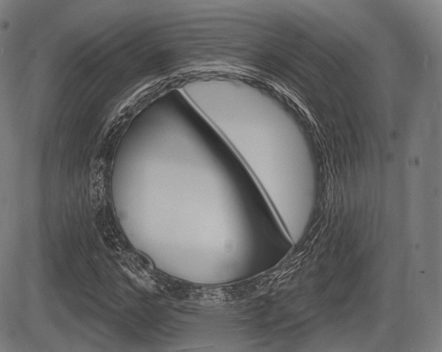 X0000083970968200702160723