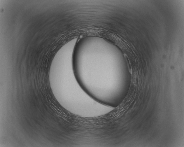 X0000083971010200702160722