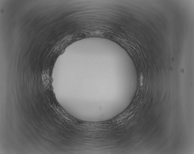 X0000083971011200702160722