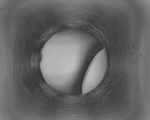 X0000083971012200702160722