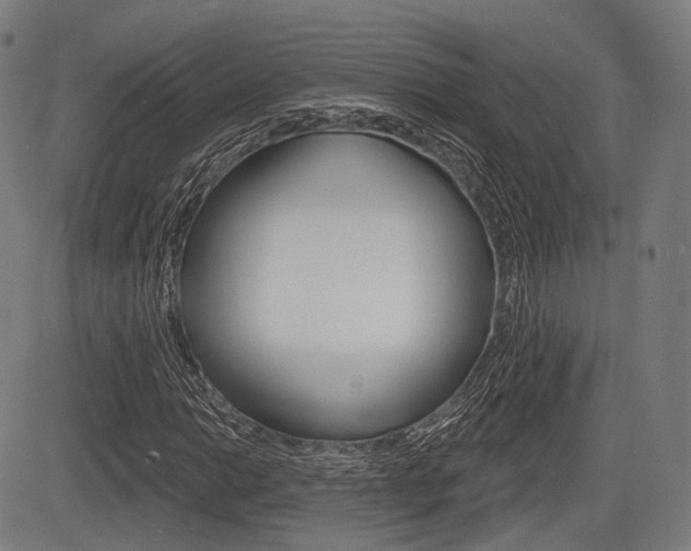 X0000083971014200702160722