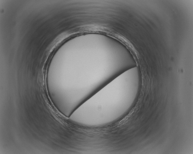 X0000083971031200702160722