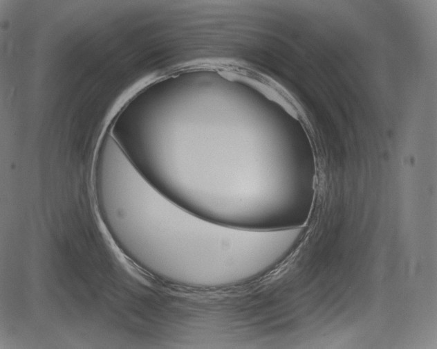 X0000083971050200702160723