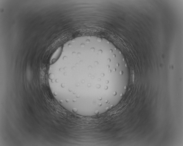X0000083971059200702160722