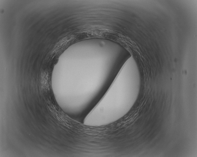 X0000083971060200702160722