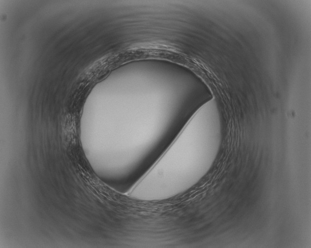 X0000083971062200702160722